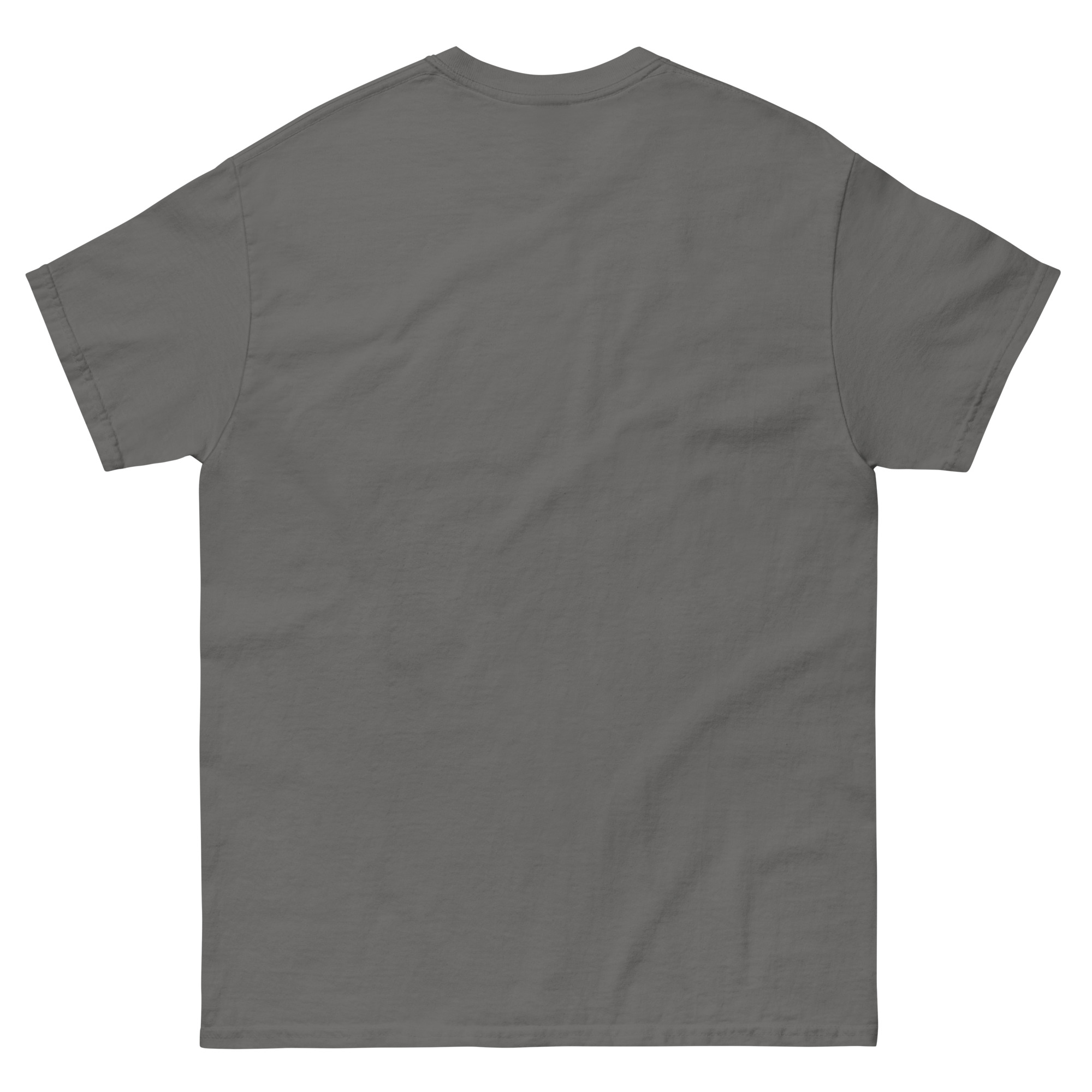 mens-classic-tee-charcoal-back-6630b67f0a4c6.jpg